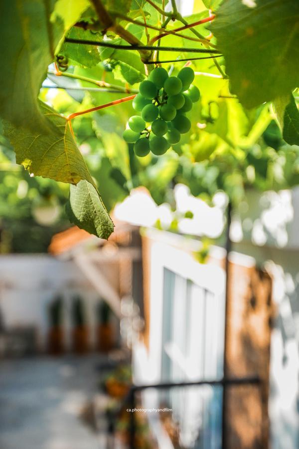 Hostel Grape Wine ساو باولو المظهر الخارجي الصورة